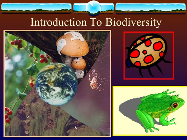 Science 9 Unit A Biological Diversity Section1 Lesson1 | PPT