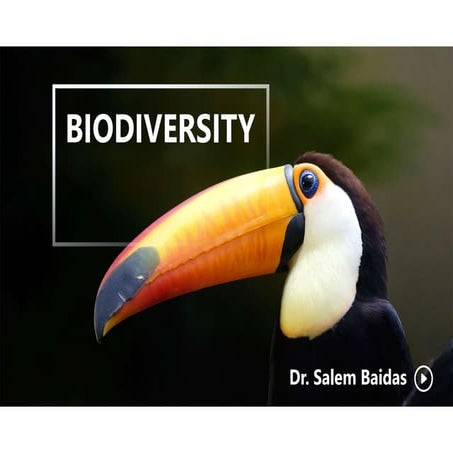Biodiversity   