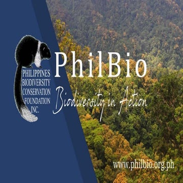 Draft Regional Biodiversity Strategic Action Plan for R2 | PPTX