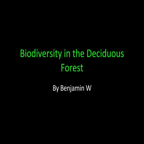 Biodiversity Ben