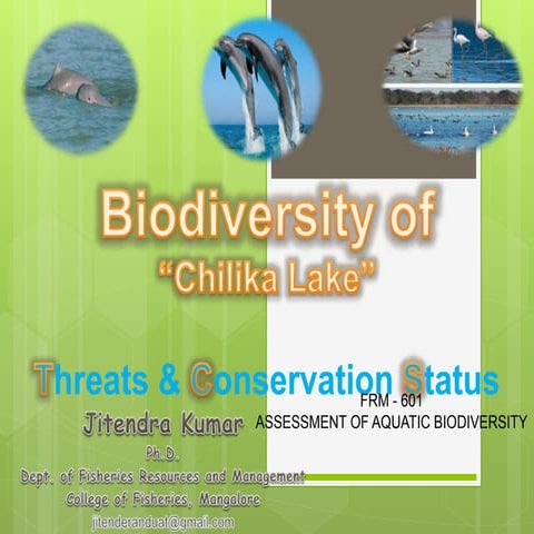 Biodiversity  chilika