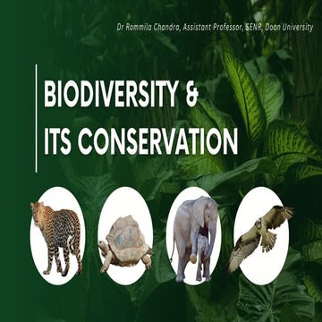 Biodiversity and it's types and importance