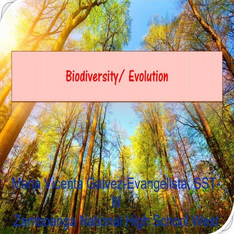 Biodiversity2018evangelistamariavicentagalvez