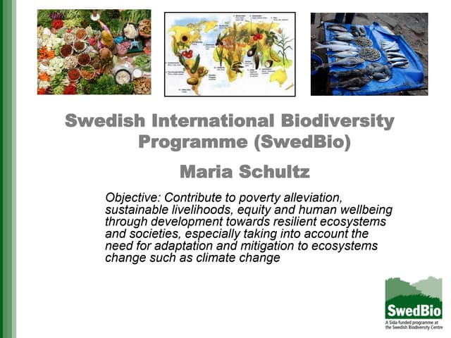 Swedish International Biodiversity Programme (SwedBio)