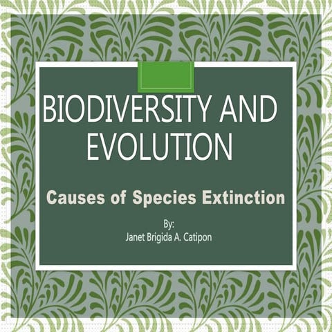 Biodiversity and evolution