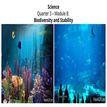 Biodiversity and stability.pptx for grade 10