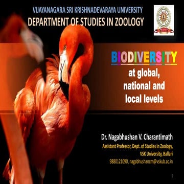 Biodiversity at global national and local levels