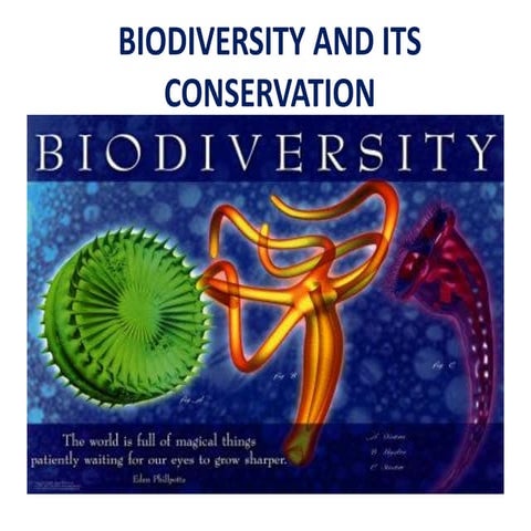 Powerpoint presentation related to Biodiversity
