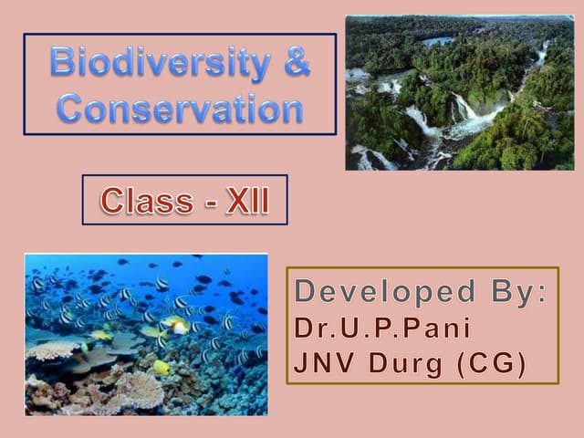 Biodiversity and conservation