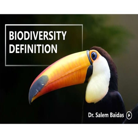 Biodiversity Definition    