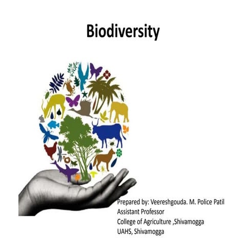 Biodiversity final2