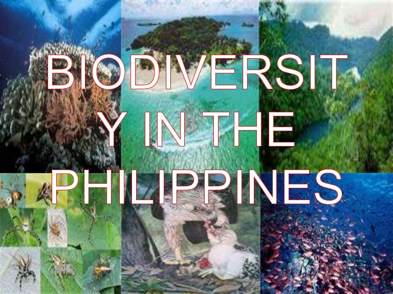 Biodiversity in the philippines