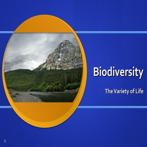 Biodiversity lecture 2014