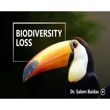 Biodiversity Loss 