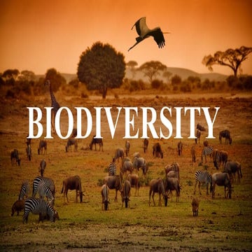 the vast array of species of living organisms