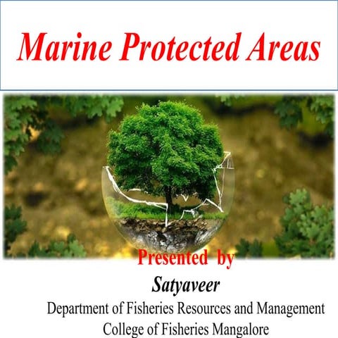 Marine Protected Areas  