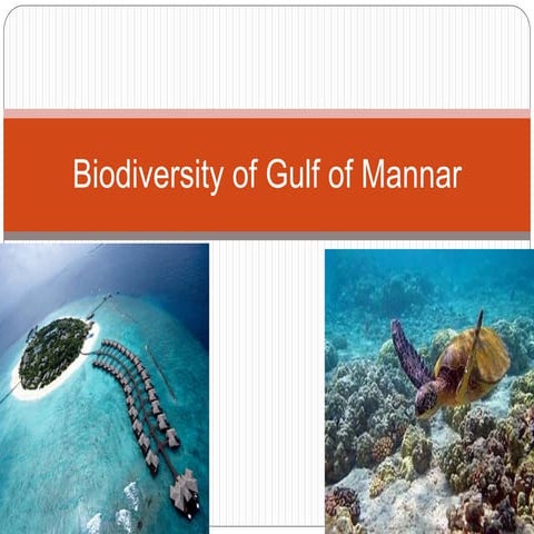 Biodiversity of gulf of mannar