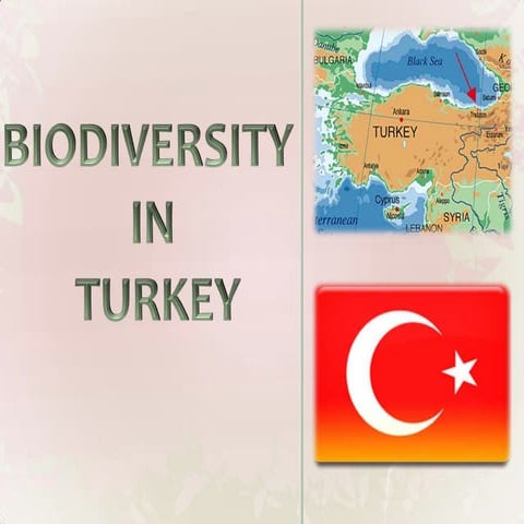 Biodiversity of turkey by svis abhimanyu sharma | PPTX