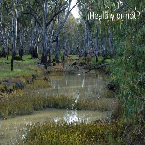 Biodiversity power point