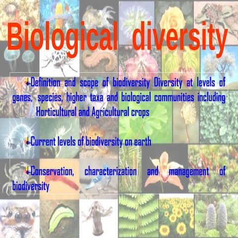 LEVELS OF BIO-DIVERSITY 52,53,54 final (1).pptx