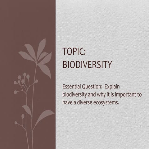 Biodiversity presentation