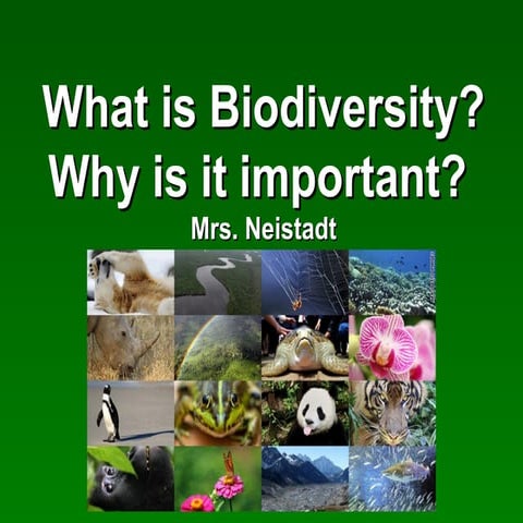 Biodiversity 