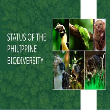 BIODIVERSITY REPORT OF THE PHILIPPINES.pptx