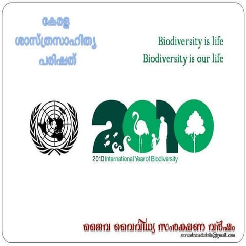 Bio diversity year 