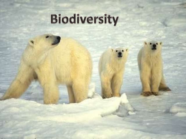 Biodiverstyppt