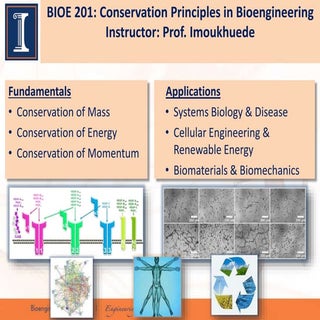 BIOE 201: Conservation Principles in Bioengineering