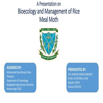 Bioecology and management of rice meal moth