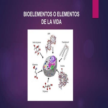 Bioelementos | PPT