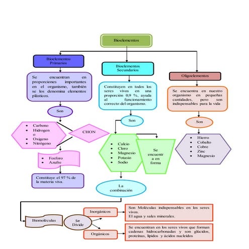 FICHA DE PRÁCTICA SOBRE BIOELEMENTOS | DOCX