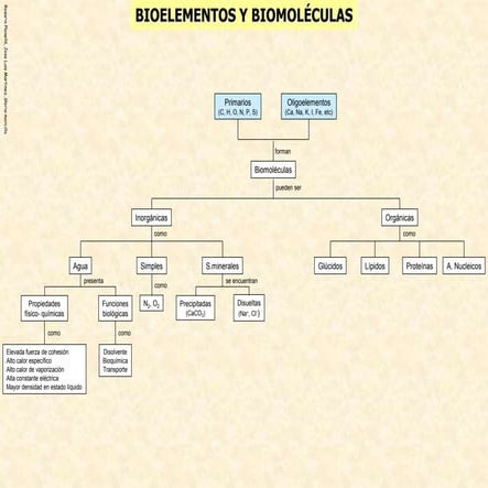 esquemas-bioelementos-y-biomoleculas.ppt