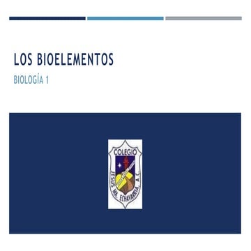 BIOELEMENTOS.pptx