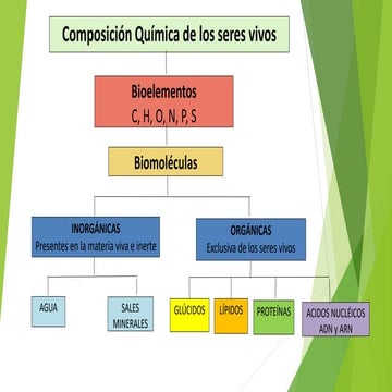 Bioelementos.pptx