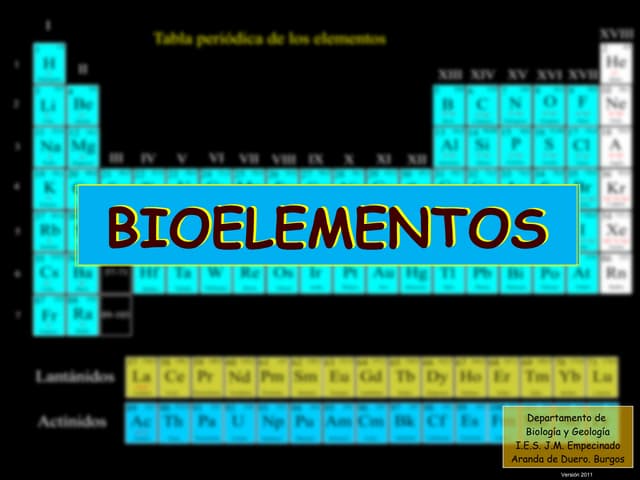 BIOELEMENTOS