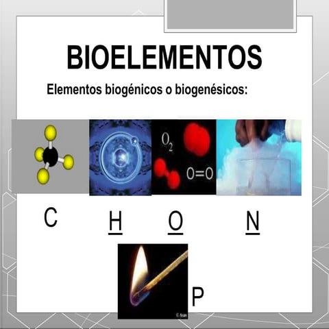BIOELEMENTOS_BIOMOLEC_INORGANICAS.pptx...... | PPTX
