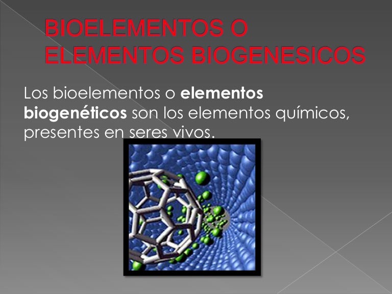 Que Son Los Elementos Biogenesicos es.slideshare.net