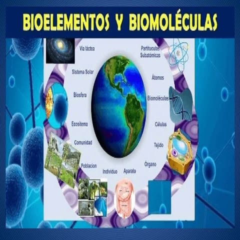 BIOELEMENTOS.pptx