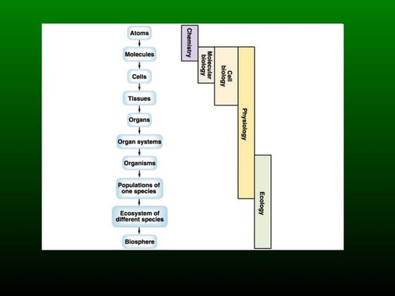 Tema 1. Bioelements | PPT