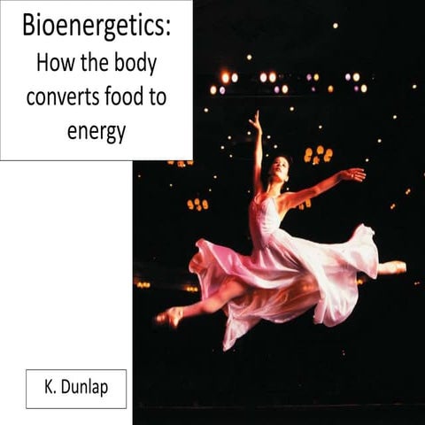 Bioenergetics