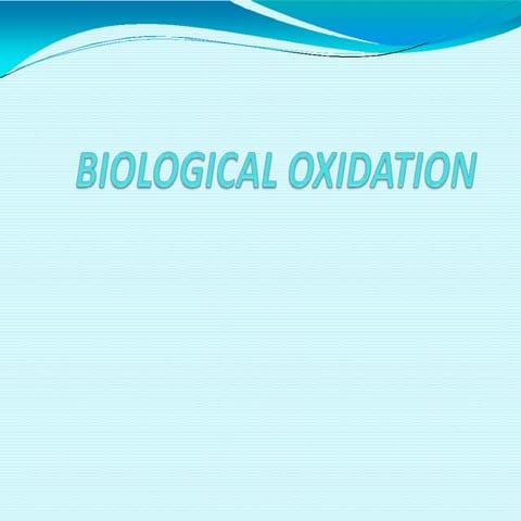 Bioenergetics  biological oxidation
