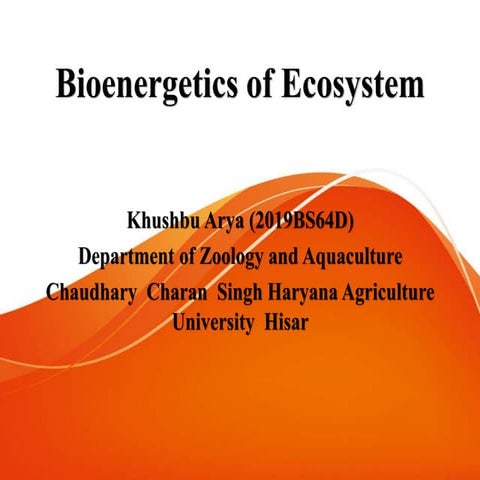 Bioenergetics of ecosystem