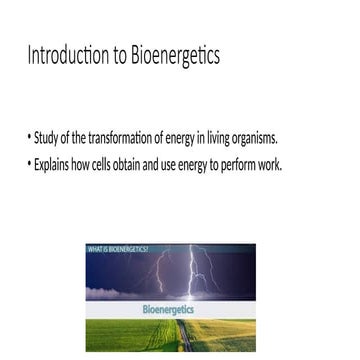 BS Nursing Bioenergetics_Presentation-1.pptx
