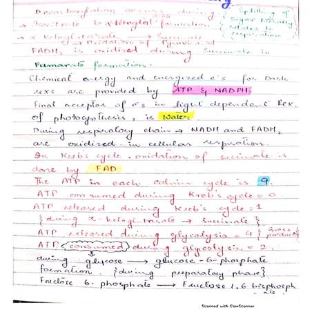 Bioenergetics Short listing by a friend.pdf