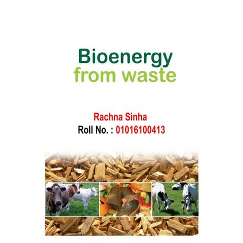 Bioenergy