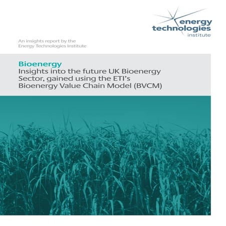 Overview of Bioenergy Scenarios in TIMES modelling | PDF