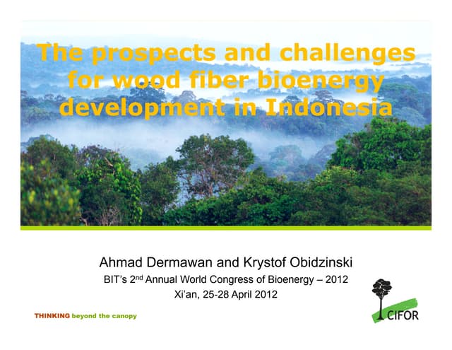  The prospects and limitations for wood fibre bioenergy development in Indonesia