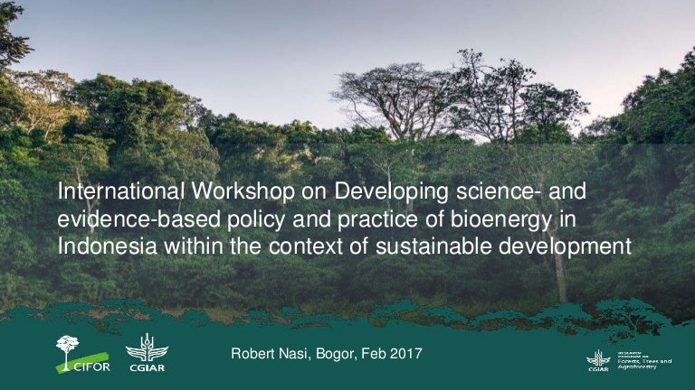 thumbnail of  International Workshop on Developing science- and evidence-based policy and practice of bioenergy in Indonesia within the context of sustainable development